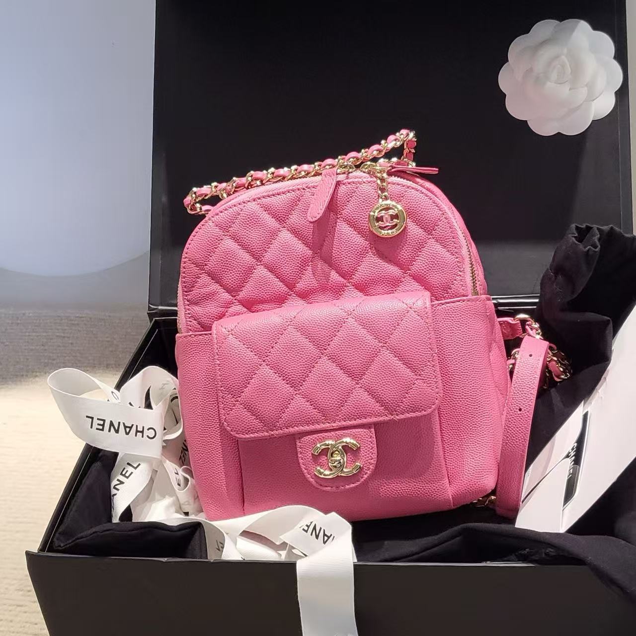 Chanel Backpack Candy Pink Caviar Leather with Gold Hardware 27 Series with Card