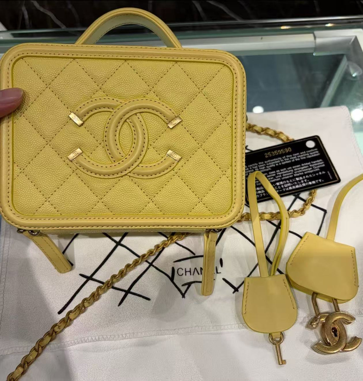 Chanel Small Camera Bag, Series 25, Card Included