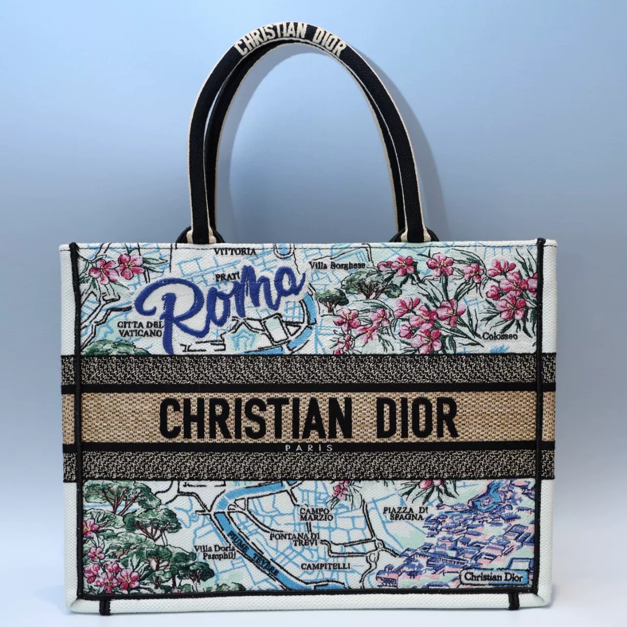 Dior Medium Book Tote City Embroidery Bag