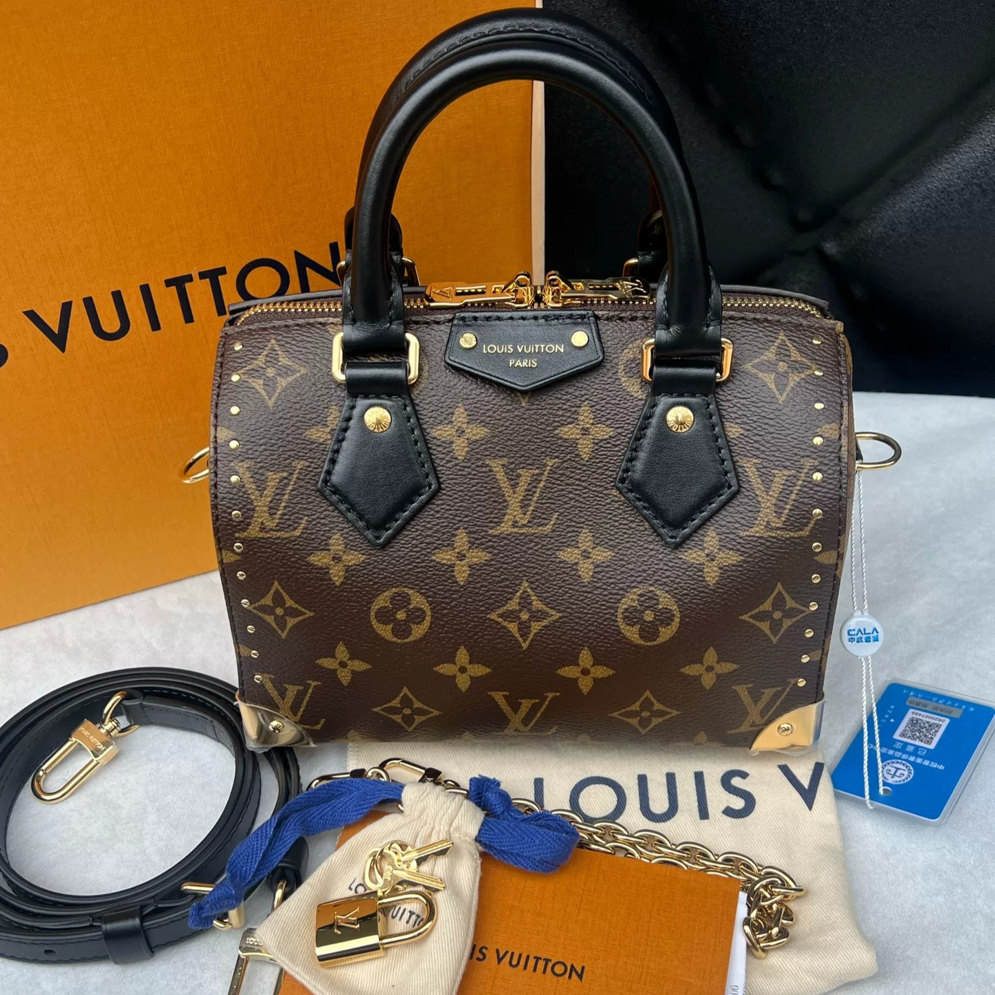 Louis Vuitton Speedy Trunk 20 Bag