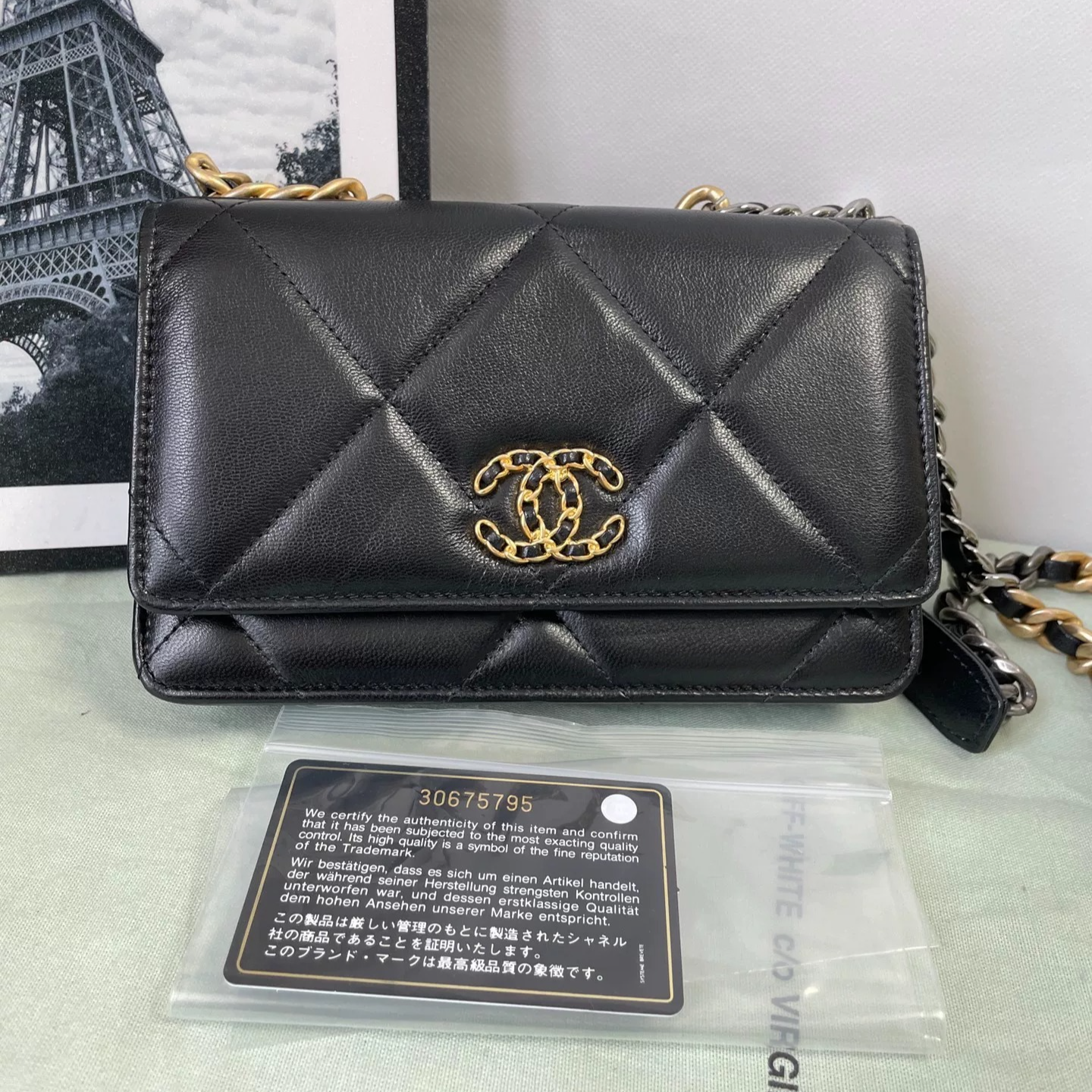 Chanel 19 WOC Chain Bag