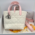 Dior Small Toujours Vertical Tote Bag
