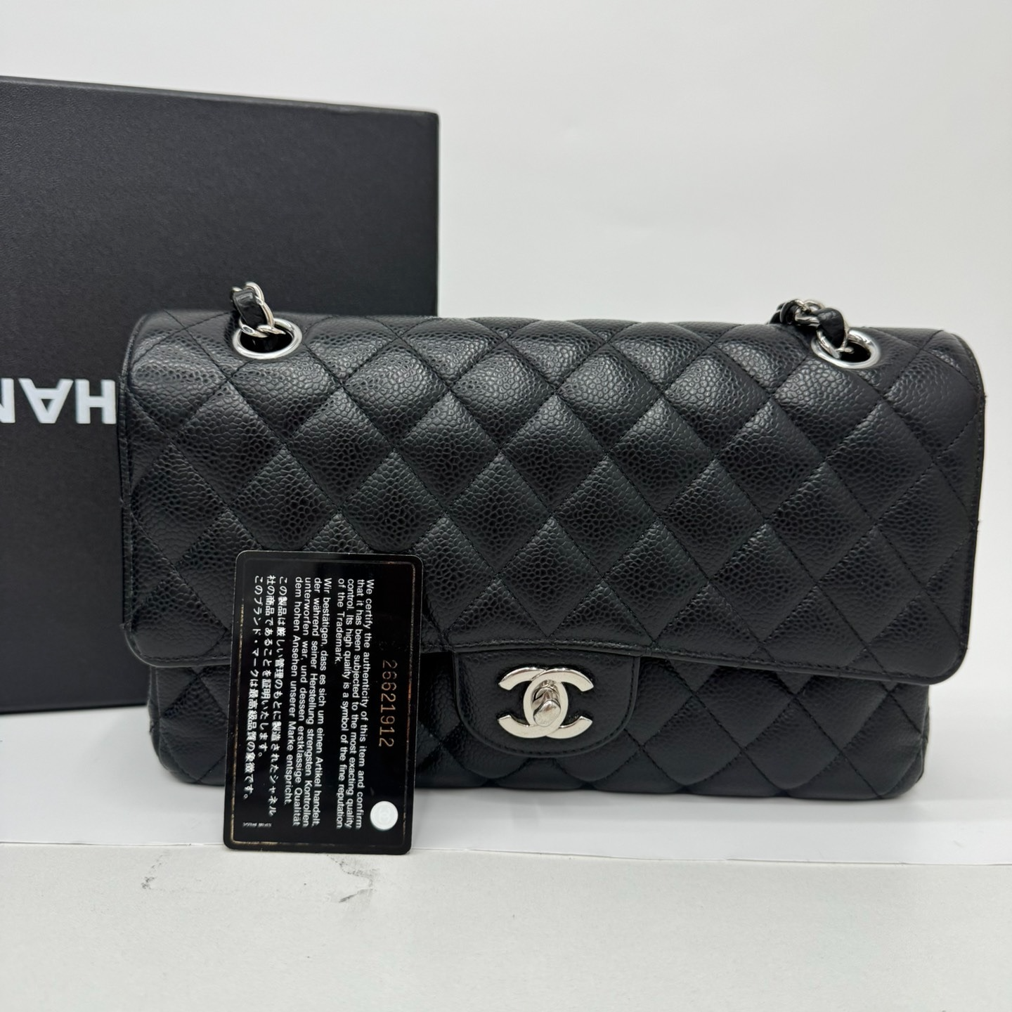 Chanel Classic Flap Bag (Medium)