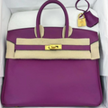 Hermès Birkin 25 Bag