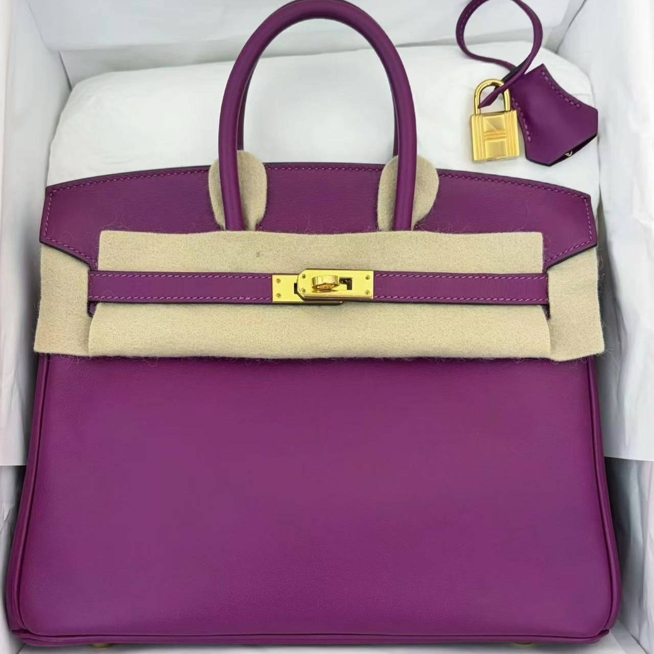 Hermès Birkin 25 Bag