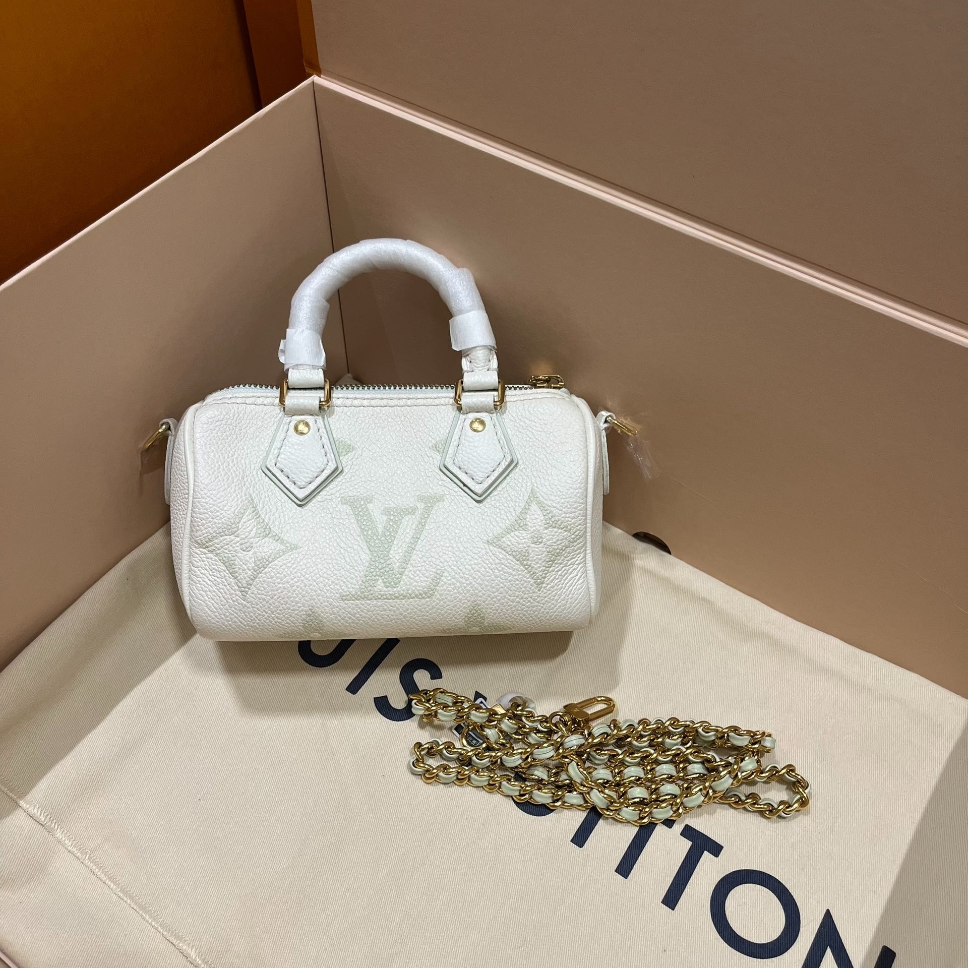 Louis Vuitton Speedy Nano Bag