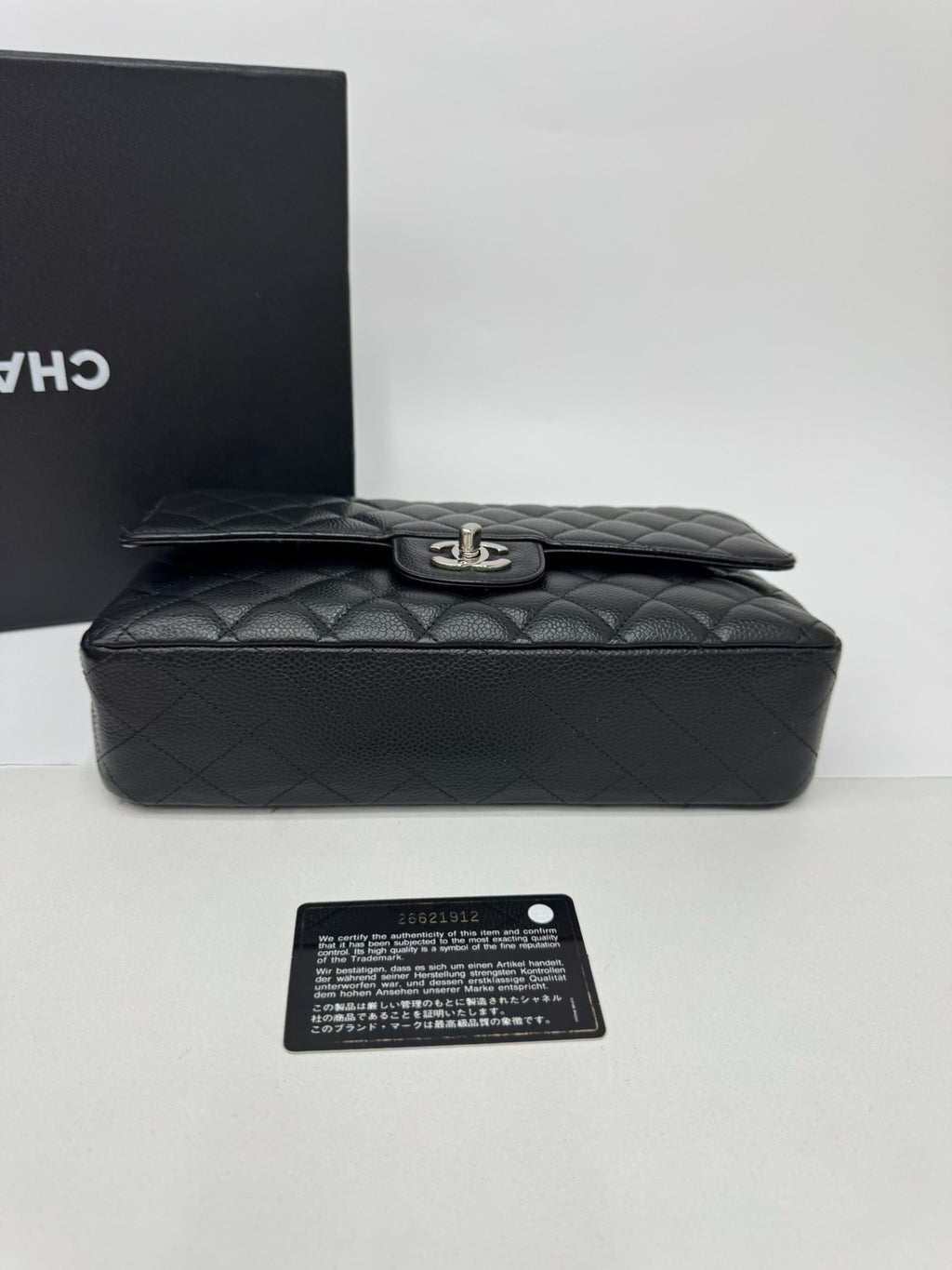 Chanel Classic Flap Bag (Medium)