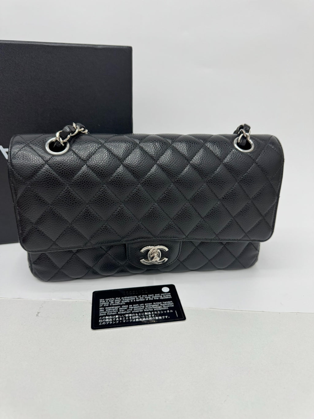 Chanel Classic Flap Bag (Medium)