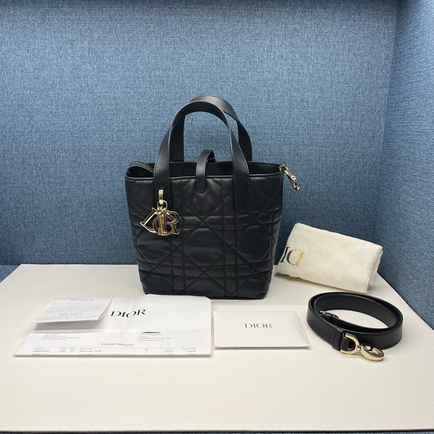 Dior Toujours Vertical Tote Bag