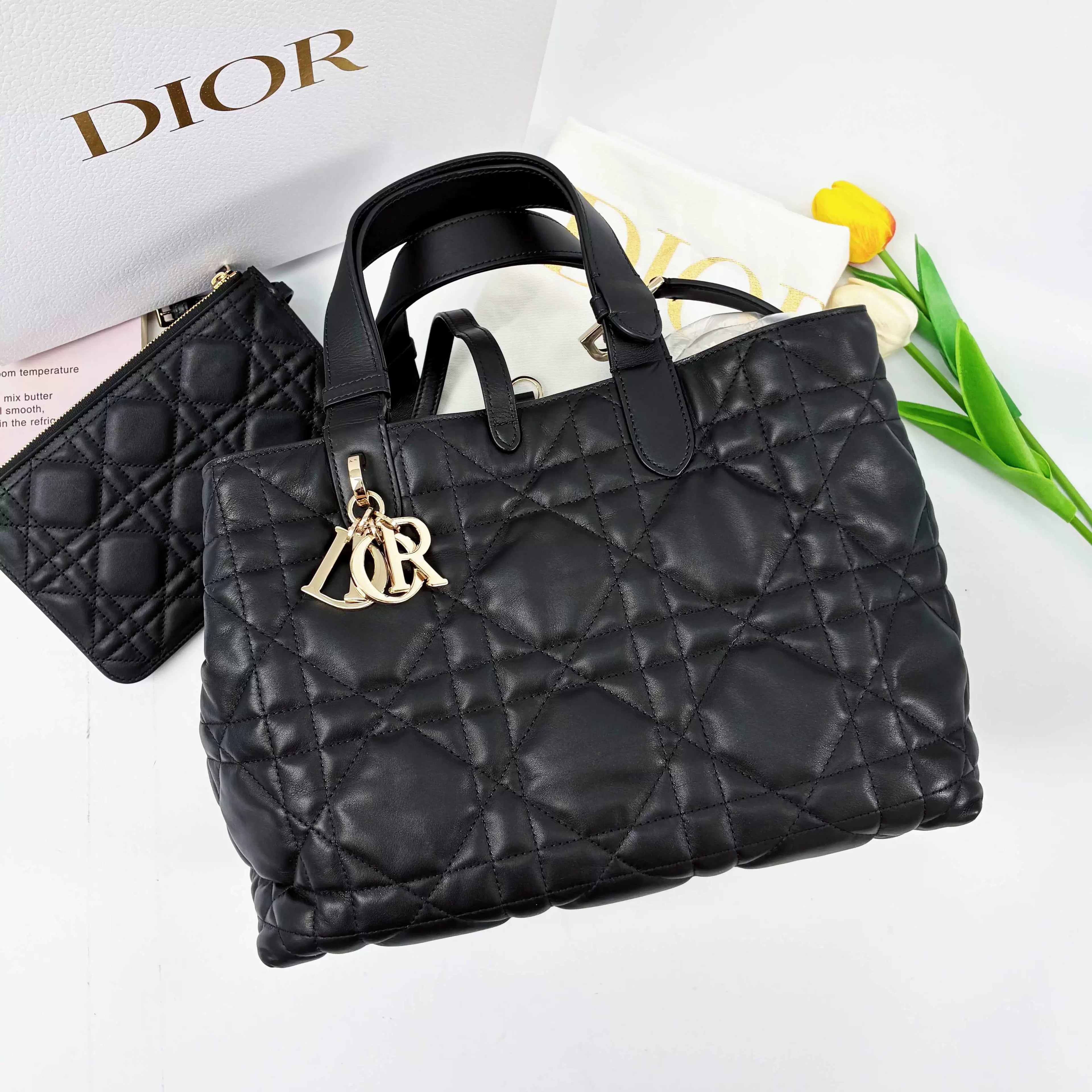 Dior Toujours Medium Bag