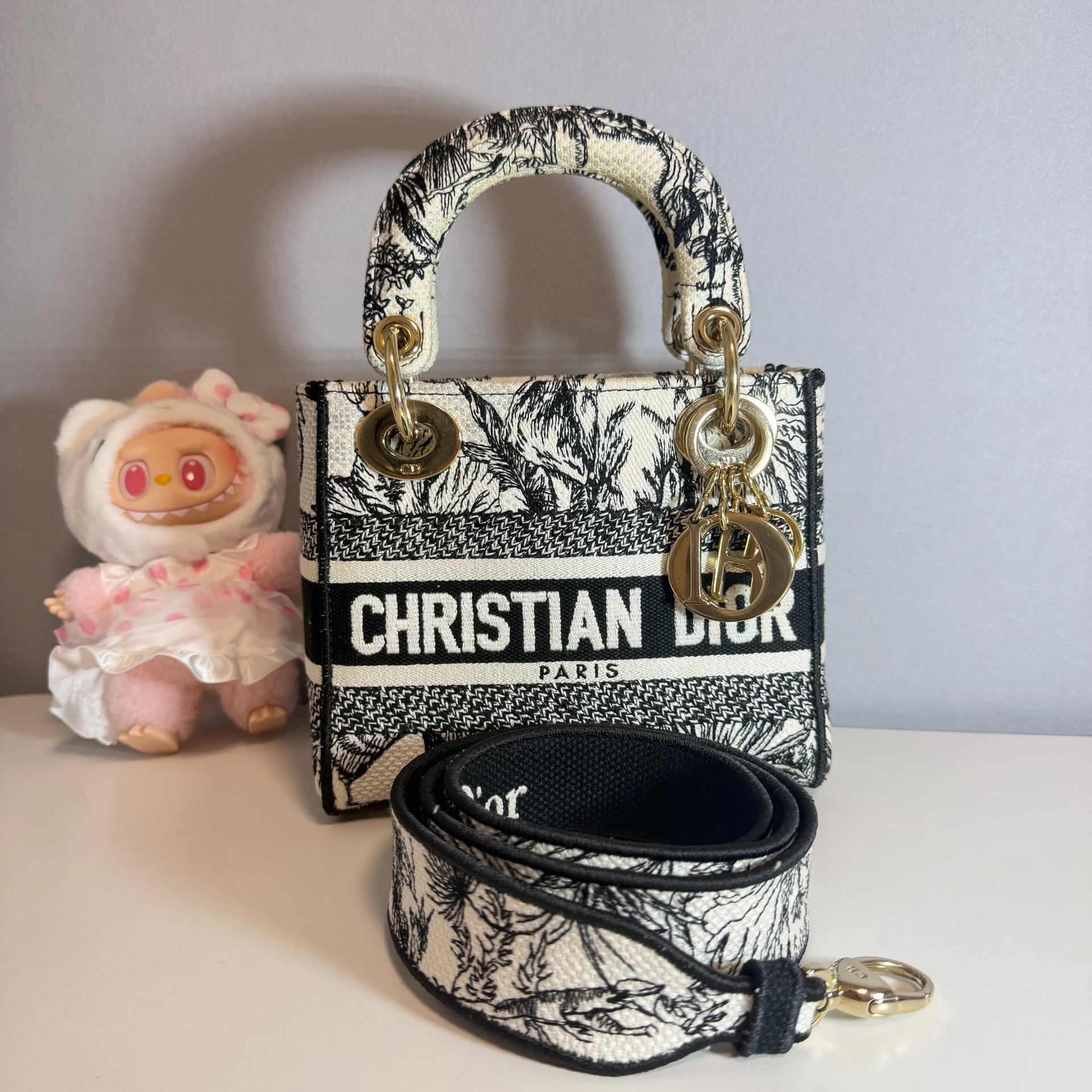 Dior Small Lady Dior Bag