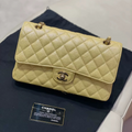 Chanel 19S Classic Flap Medium Bag