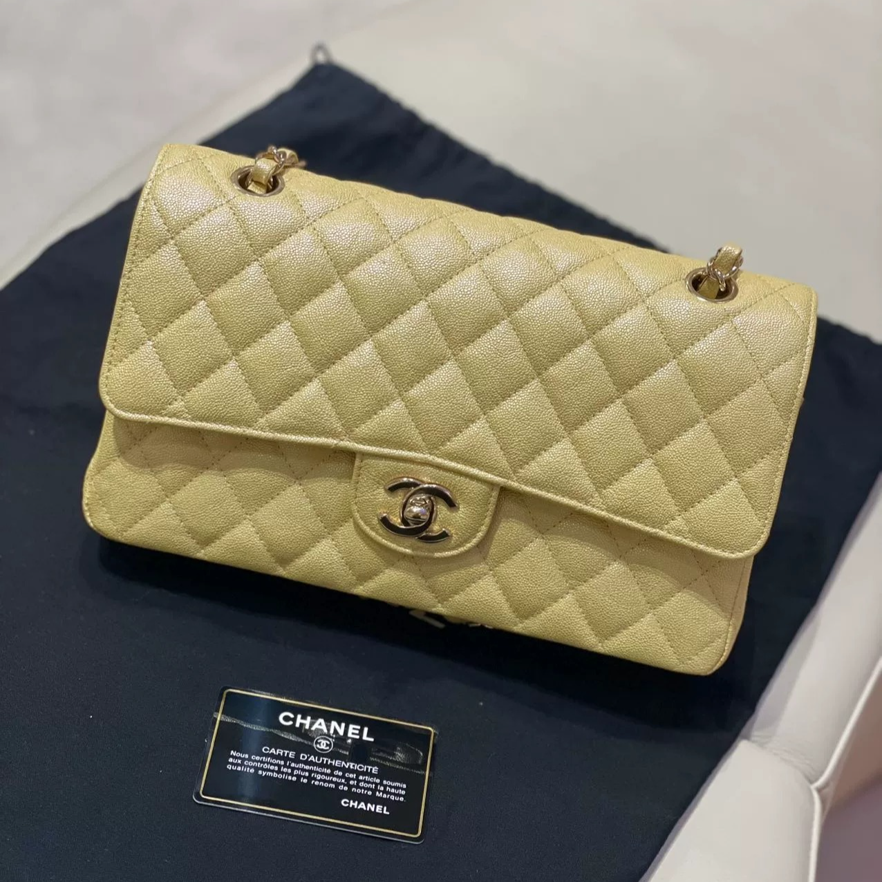 Chanel 19S Classic Flap Medium Bag