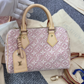 Louis Vuitton Speedy 20 Bag